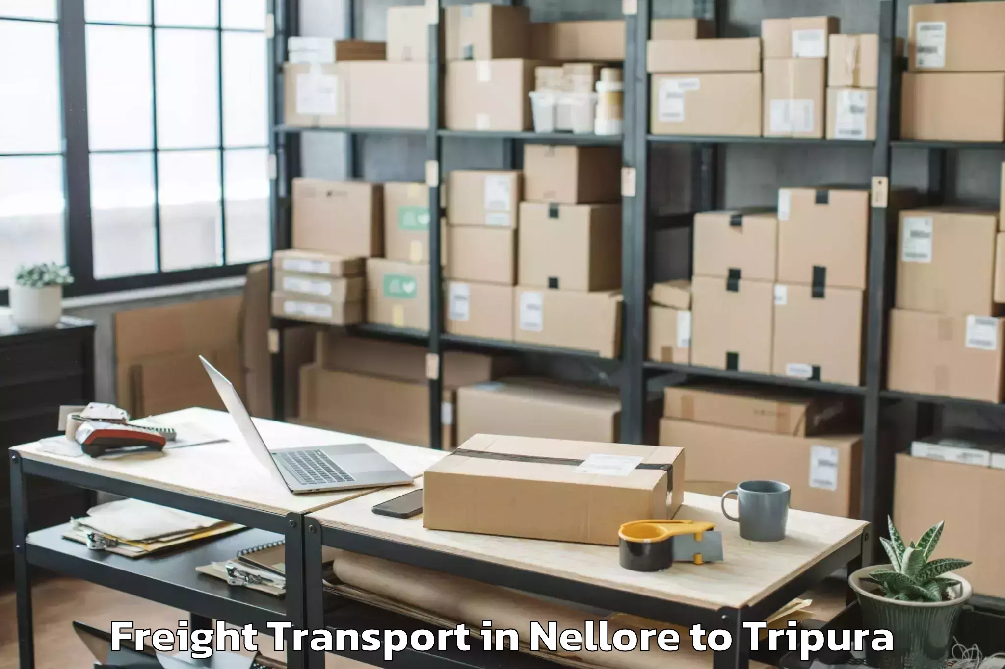 Efficient Nellore to Kailashahar Airport Ixh Freight Transport